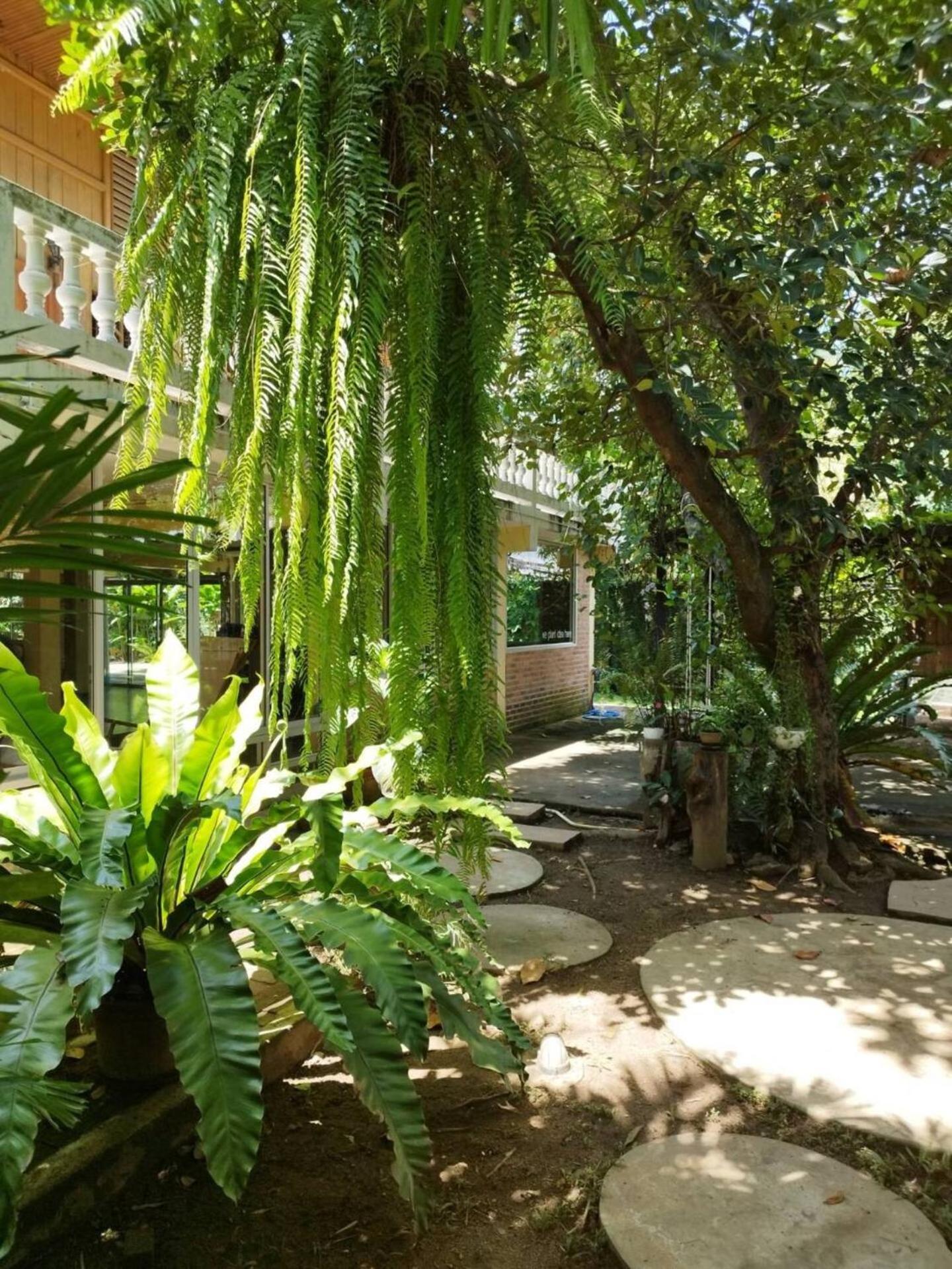 Hotel Atelier 36 Chiang Mai Exterior foto